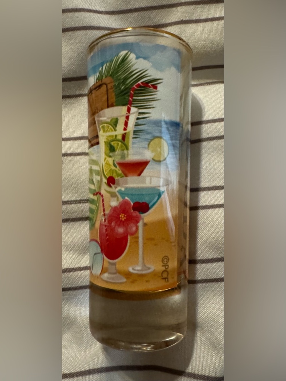 NEW Authentic Florida Tropical Shot Glass with Gold Rim - Picture 3 of 5